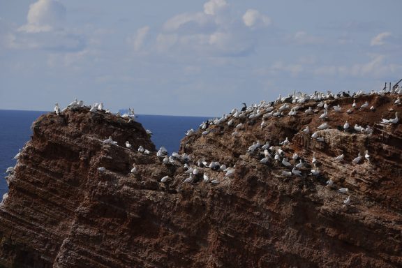 Helgoland Helgoland