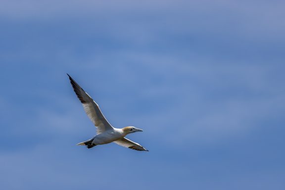 Helgoland Helgoland