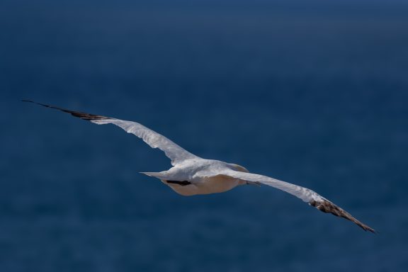 Helgoland Helgoland