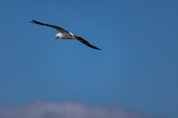Helgoland Helgoland