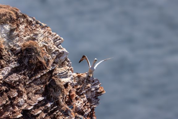 Helgoland Helgoland